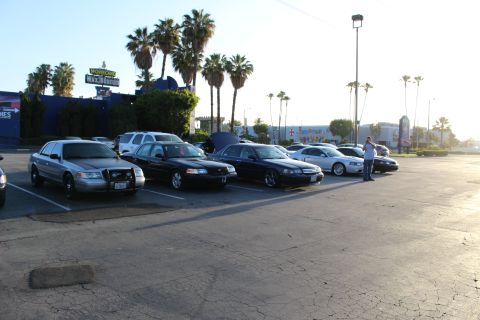 2003 Ford Crown Victoria - Silver and black Ford sedans line a lot near tall palms as a man stands beside the cars in low sun.