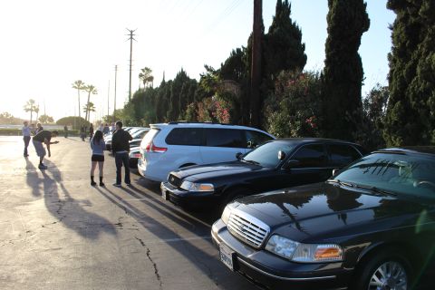 2003 Ford Crown Victoria - Black Ford sedans and a white minivan park along a tall hedge while a few people stand in the sunlit lot.