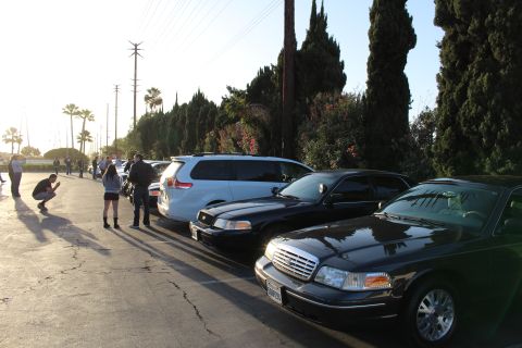 2003 Ford Crown Victoria - row of black Ford sedans and a white minivan park along evergreens as people stand at the far end.