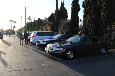 2003 Ford Crown Victoria - Black Ford sedans and a white minivan line a lot beside tall evergreens, with people gathered in the distance.