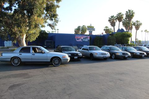 2003 Ford Crown Victoria - long row of Ford sedans in silver, black, and tan park diagonally in front of a blue building and palms.