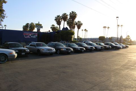 2003 Ford Crown Victoria - long backlit row of parked sedans stretches across a lot in front of a blue building lined with palm trees.