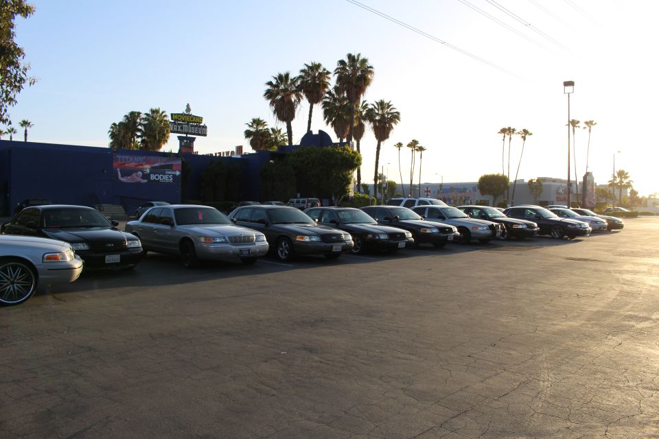 Long row of parked sedans by a blue building with palm trees, backlit