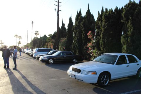 2003 Ford Crown Victoria - white Ford Crown Victoria sits foremost in a row of dark sedans and a limousine in a parking lot rimmed by tall cypress trees at low sun.