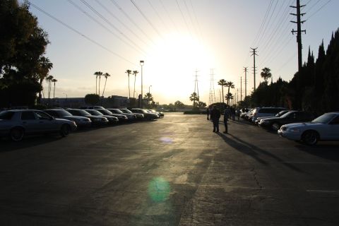 2003 Ford Crown Victoria - Rows of parked sedans flank an open paved lot beneath a bright low sun, palm trees and power lines on the horizon.