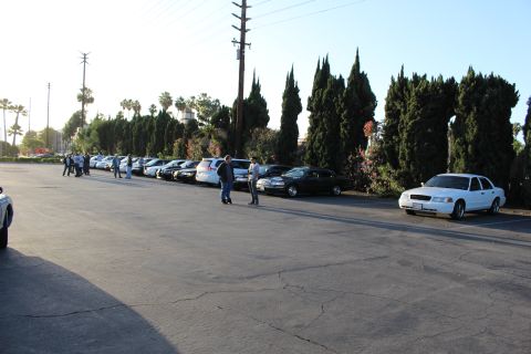 2003 Ford Crown Victoria - white Ford Crown Victoria sits at right as people gather by a row of sedans in a sunlit lot lined with cypress trees.