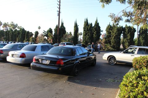 2003 Ford Crown Victoria - black Ford Crown Victoria on black wheels sits between a silver sedan and a white sedan in a sunlit lot with cypress trees.