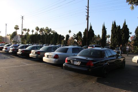 2003 Ford Crown Victoria - black Ford Crown Victoria with a visible plate leads a long diagonal row of dark sedans across a sunlit paved lot.