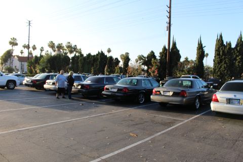 2003 Ford Crown Victoria - row of dark and silver sedans fills marked spaces as two people stand between cars in a sunlit lot lined with cypress trees.