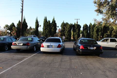 2003 Ford Crown Victoria - Three sedans, including Ford and Mercury models, are backed into marked spaces in a sunny lot before tall cypress trees.