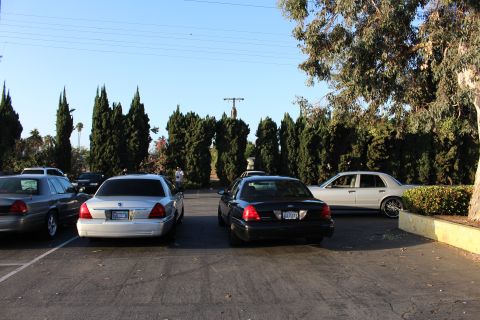 2003 Ford Crown Victoria - silver sedan and a black Ford sedan sit backed into spaces under a clear blue sky, more cars beyond a line of cypress trees.