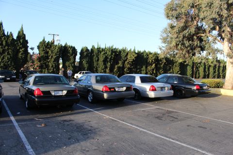 2003 Ford Crown Victoria - row of black and silver sedans, several with plates visible, sits backed into marked spaces in a sunlit lot beside cypress trees.
