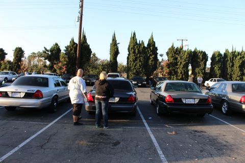 2003 Ford Crown Victoria - Two people stand between dark sedans backed into marked spaces in a sunlit lot, more cars and people beyond the cypress trees.