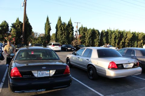 2003 Ford Crown Victoria - dark Ford Interceptor sedan and a silver Ford Crown Victoria sit parked in a sunlit lot lined with cypress trees and palms.