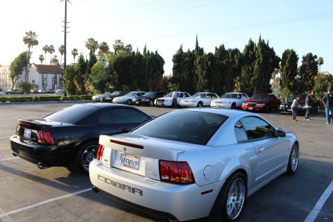 2003 Ford Crown Victoria - silver Ford Mustang Cobra coupe beside a black Mustang at a car meet, with a row of sedans across the lot.