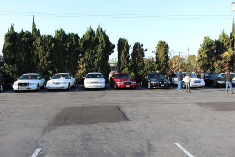 2003 Ford Crown Victoria - lineup of full-size sedans, white, red and black, parked nose-out against a tall cypress hedge with people standing nearby.