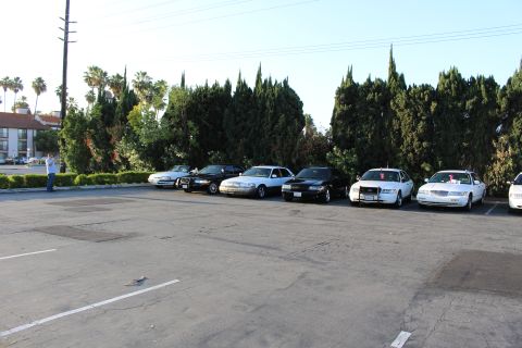 2003 Ford Crown Victoria - row of full-size sedans parked nose-out against a cypress hedge in a wide, mostly empty asphalt parking lot.