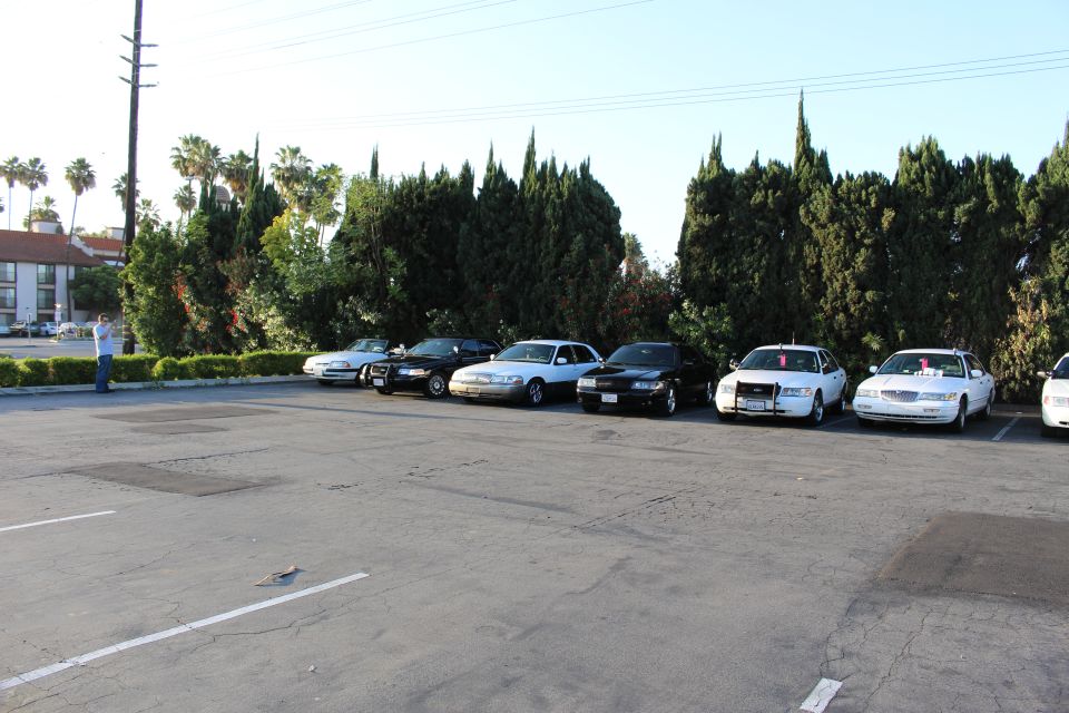 Row of full-size sedans parked against cypress trees in a large empty asphalt lot, one person standing at left