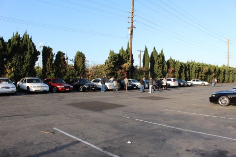 2003 Ford Crown Victoria - People mingle among a row of parked sedans, including white and red cars, in a large lot beside tall cypress trees.
