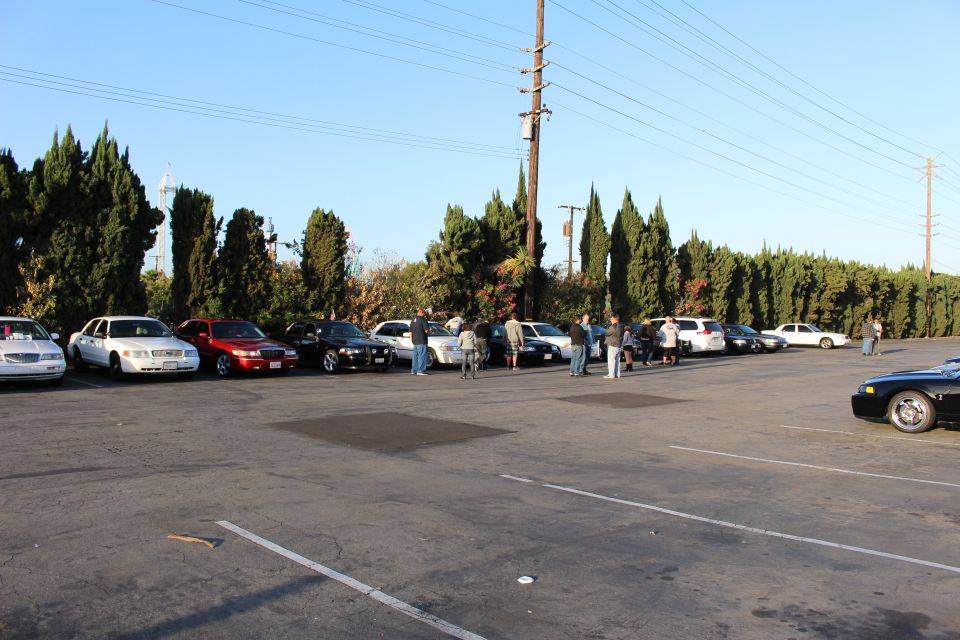 People standing among a row of parked sedans, including white and red cars, in a large lot by cypress trees