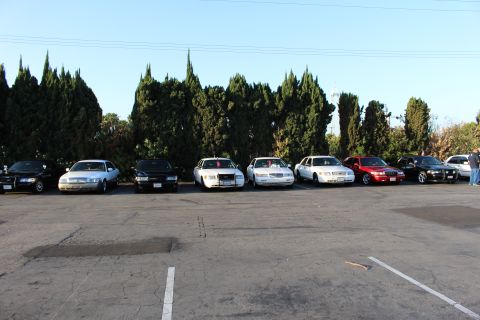 2003 Ford Crown Victoria - lineup of white, black and red full-size sedans parked nose-out against a hedge in a broad asphalt parking lot.