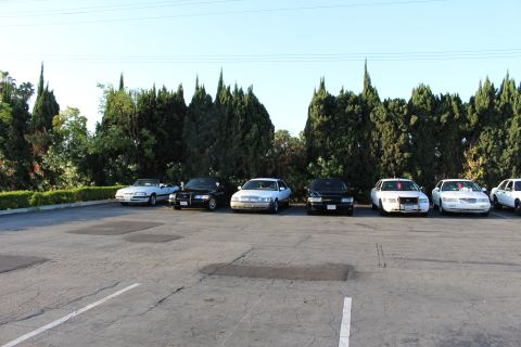 2003 Ford Crown Victoria - row of light-colored and black full-size sedans parked against cypress trees in a sunlit, mostly empty lot.