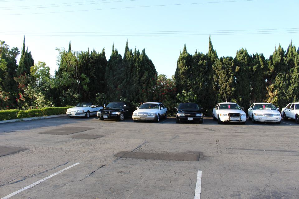 Row of light-colored and black full-size sedans parked against cypress trees in a sunlit empty lot