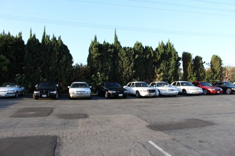 2003 Ford Crown Victoria - Front view of a row of silver, black, white and red full-size sedans parked nose-out against a cypress hedge.