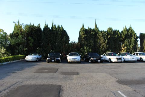 2003 Ford Crown Victoria - front-facing lineup of silver, black and white full-size sedans parked against trees in a wide asphalt lot.