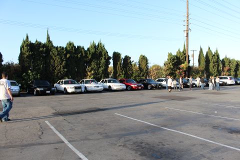 2003 Ford Crown Victoria - People walk among a long row of parked full-size sedans in a large asphalt lot lined with cypress and power poles.