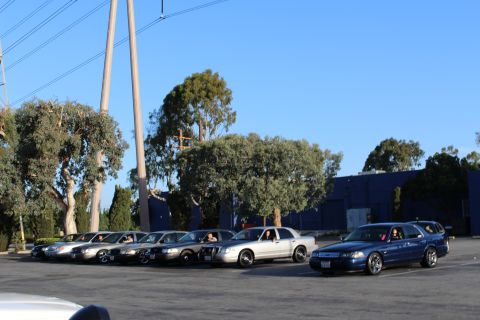 2003 Ford Crown Victoria - row of full-size sedans parked at an angle in a lot, a dark blue car at right, near eucalyptus trees and a blue warehouse.