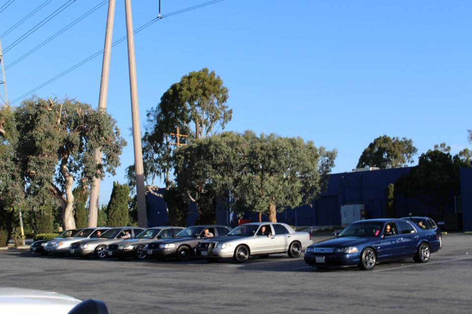 Row of full-size sedans angled in a lot, a dark blue sedan at right, by tall eucalyptus trees and a blue building