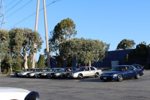 2003 Ford Crown Victoria - angled row of full-size sedans, dark blue car at right, parked in a lot beneath power lines and eucalyptus trees.
