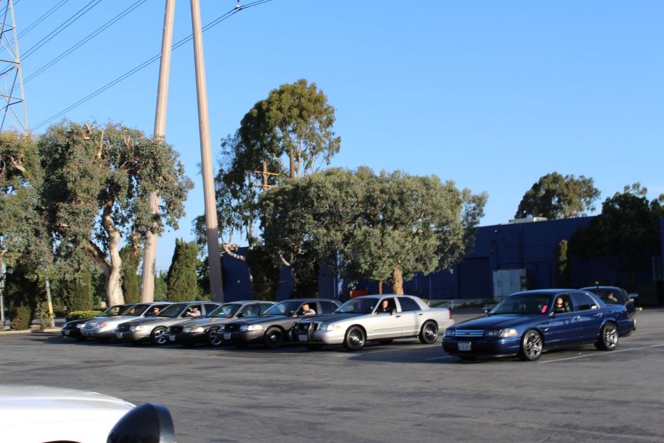 Angled row of full-size sedans with a dark blue sedan at right in a lot under power lines and eucalyptus trees