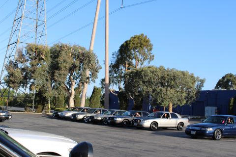 2003 Ford Crown Victoria - row of full-size sedans parked beside a steel transmission tower and eucalyptus trees, foreground cars partly cropped.