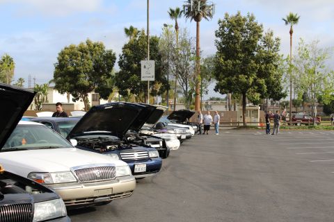 2003 Ford Crown Victoria - line of full-size sedans with hoods raised at a parking lot car meet, a silver Mercury closest to the camera under palm trees.