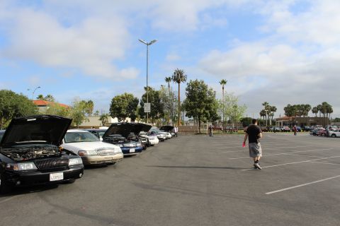 2003 Ford Crown Victoria - wide view of a parking lot car meet with a row of sedans, hoods open, and a man walking past empty parking spaces.