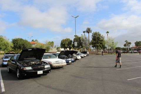 2003 Ford Crown Victoria - black sedan with its hood up leads a row of parked cars at a car meet, a man walking nearby under palm trees.