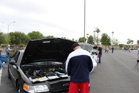 2003 Ford Crown Victoria - man in a white-and-navy jacket leans over the open hood of a black sedan at an overcast parking lot car meet.