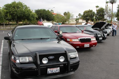 2003 Ford Crown Victoria - black Ford with a front push bar and plate 6TVL491 fronts a row of sedans at a car meet, a red Mercury and others behind it.