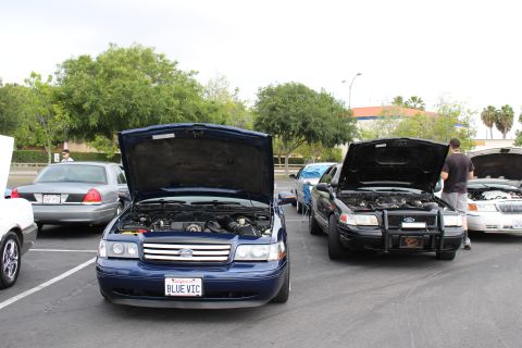2003 Ford Crown Victoria - blue Ford Crown Victoria with plate BLUE VIC and a black Ford with a push bar parked with open hoods at an outdoor car gathering.