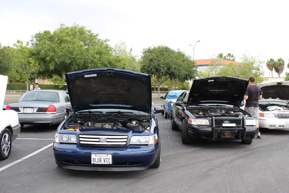 Blue Ford BLUE VIC sedan and black Ford with push bar, hoods up