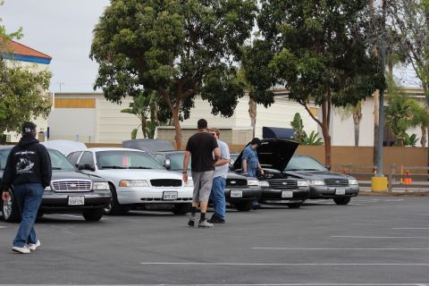2003 Ford Crown Victoria - row of black and silver full-size sedans parked diagonally as several people walk and inspect one car with its hood open.