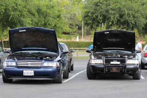 2003 Ford Crown Victoria - blue Ford Crown Victoria (plate BLUE VIC) and a black Ford with a brush guard parked side by side, both hoods raised, near trees.