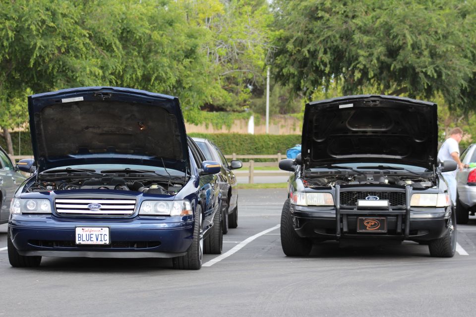 Blue Ford BLUE VIC sedan and black Ford with brush guard, hoods open
