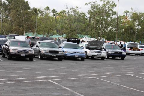 2003 Ford Crown Victoria - diagonal row of black, gray, blue and white full-size sedans, some with hoods up, parked at an outdoor automotive meet near palm trees.