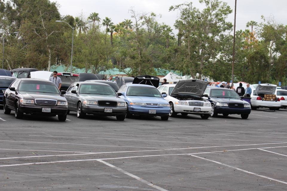 Row of Ford and Chevrolet sedans parked front-on at a car meet