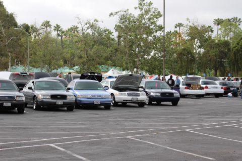 2003 Ford Crown Victoria - row of gray, blue, silver and black full-size sedans, several with hoods or trunks open, parked at a tree-lined outdoor car meet.