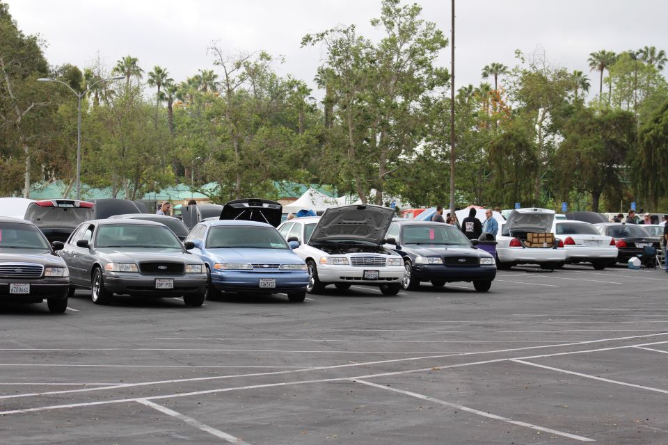 Row of sedans with some hoods and trunks open at outdoor meet