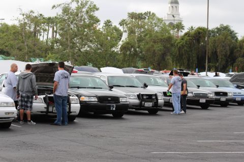 2003 Ford Crown Victoria - diagonal row of black, white and silver full-size sedans parked nose-out as several men inspect them, a clock tower behind the trees.
